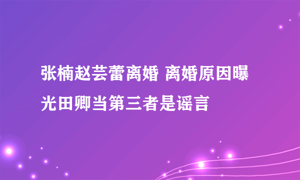 张楠赵芸蕾离婚 离婚原因曝光田卿当第三者是谣言