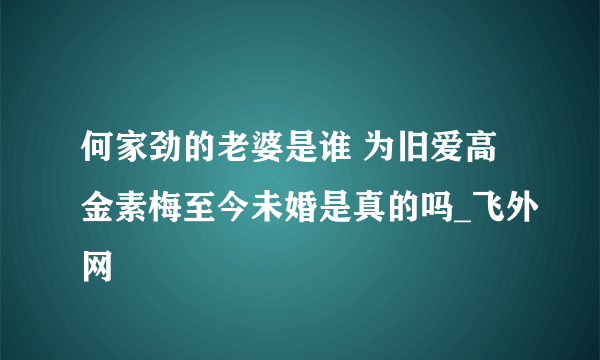 何家劲的老婆是谁 为旧爱高金素梅至今未婚是真的吗