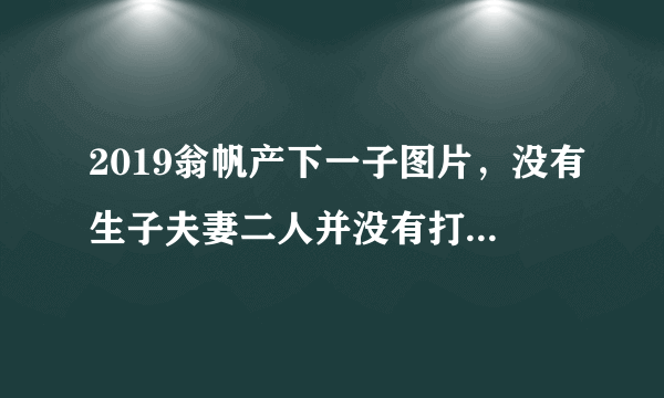 2019翁帆产下一子图片，没有生子夫妻二人并没有打算要孩子