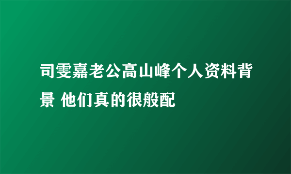 司雯嘉老公高山峰个人资料背景 他们真的很般配