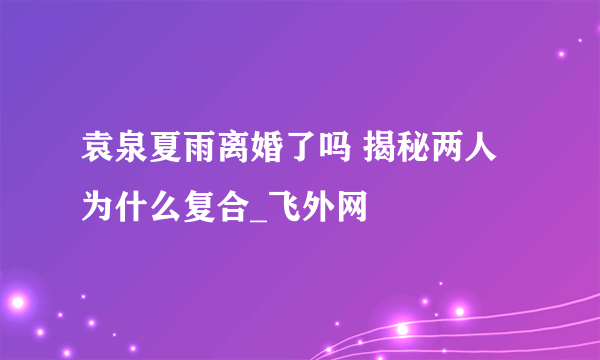 袁泉夏雨离婚了吗 揭秘两人为什么复合_飞外网