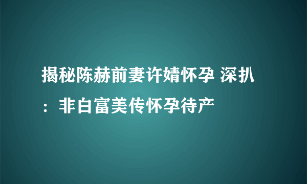 揭秘陈赫前妻许婧怀孕 深扒：非白富美传怀孕待产