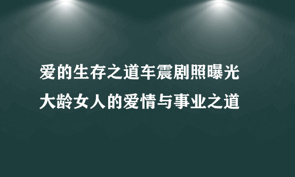 爱的生存之道车震剧照曝光 大龄女人的爱情与事业之道