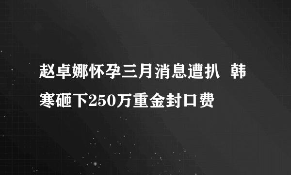 赵卓娜怀孕三月消息遭扒  韩寒砸下250万重金封口费