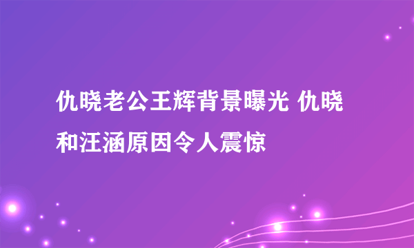 仇晓老公王辉背景曝光 仇晓和汪涵原因令人震惊