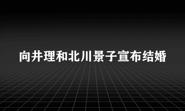 向井理和北川景子宣布结婚