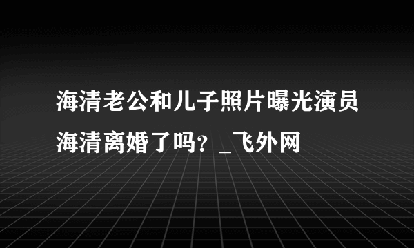 海清老公和儿子照片曝光演员海清离婚了吗？