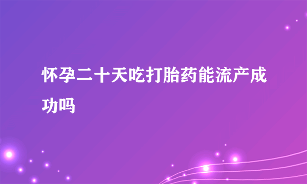 怀孕二十天吃打胎药能流产成功吗