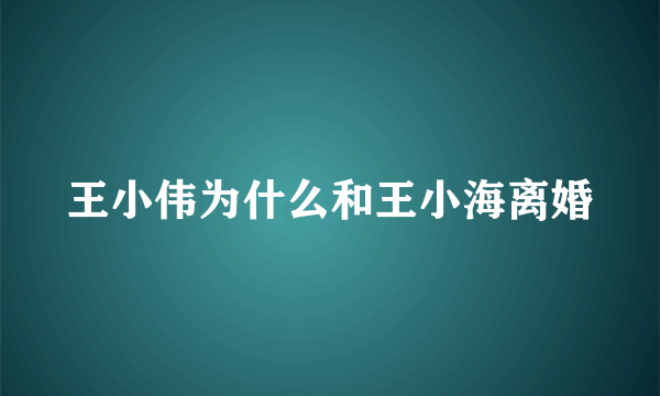 王小伟为什么和王小海离婚