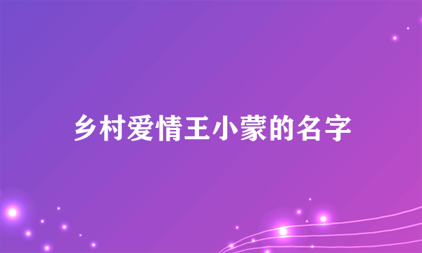 乡村爱情王小蒙的名字