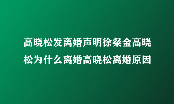 高晓松发离婚声明徐粲金高晓松为什么离婚高晓松离婚原因