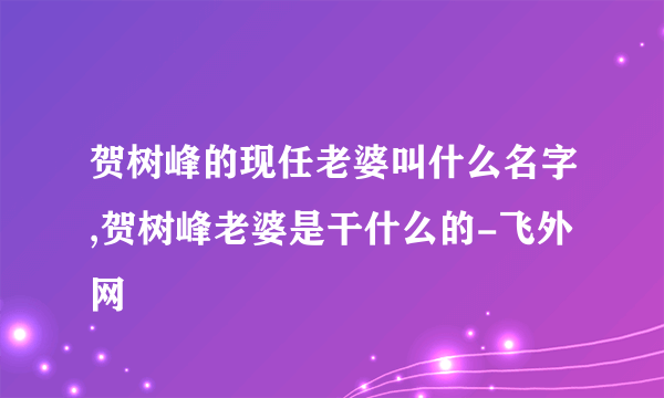 贺树峰的现任老婆叫什么名字,贺树峰老婆是干什么的-飞外网