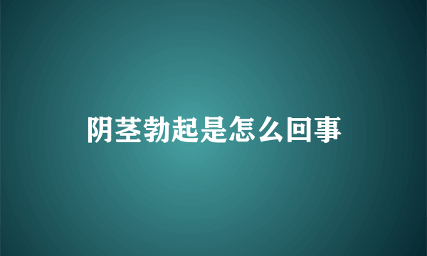 阴茎勃起是怎么回事