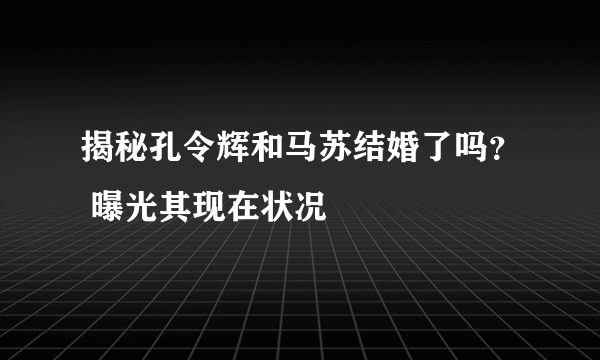 揭秘孔令辉和马苏结婚了吗？ 曝光其现在状况