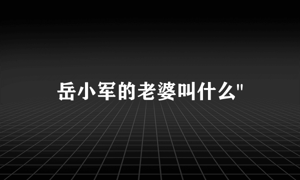 岳小军的老婆叫什么