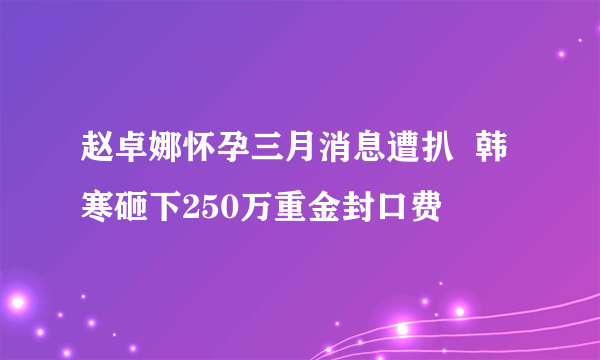 赵卓娜怀孕三月消息遭扒  韩寒砸下250万重金封口费