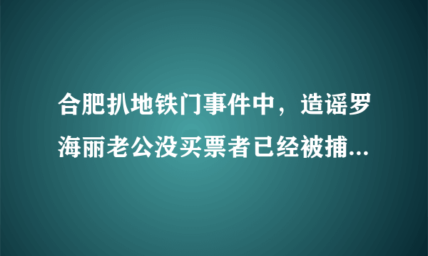 合肥扒地铁门事件中，造谣罗海丽老公没买票者已经被捕，对此你怎么看？