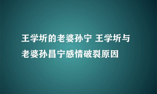 王学圻的老婆孙宁 王学圻与老婆孙昌宁感情破裂原因