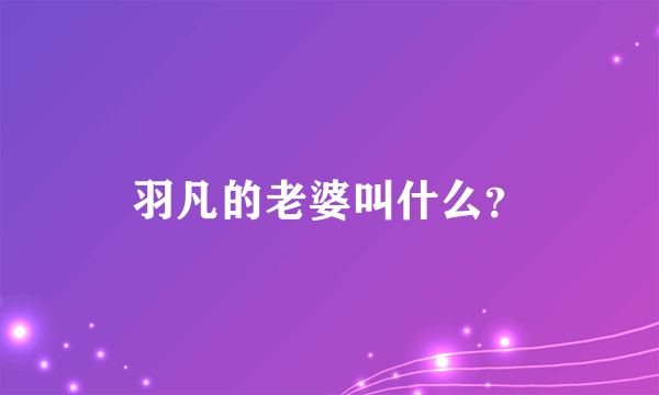 羽凡的老婆叫什么？