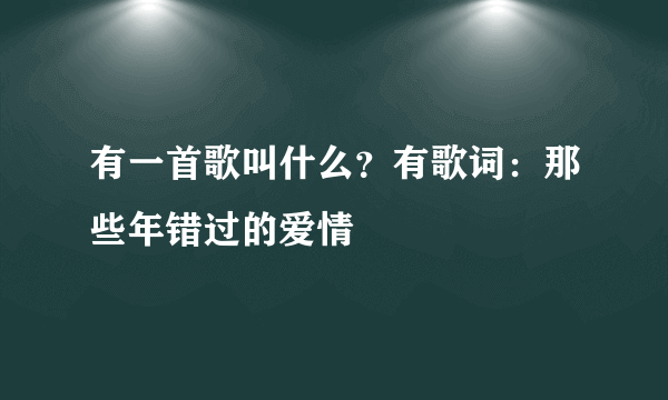 有一首歌叫什么？有歌词：那些年错过的爱情