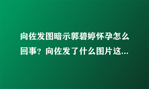 向佐发图暗示郭碧婷怀孕怎么回事？向佐发了什么图片这5个字意味深长