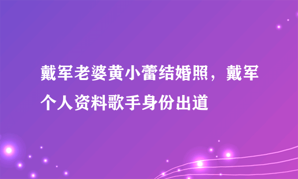 戴军老婆黄小蕾结婚照，戴军个人资料歌手身份出道 