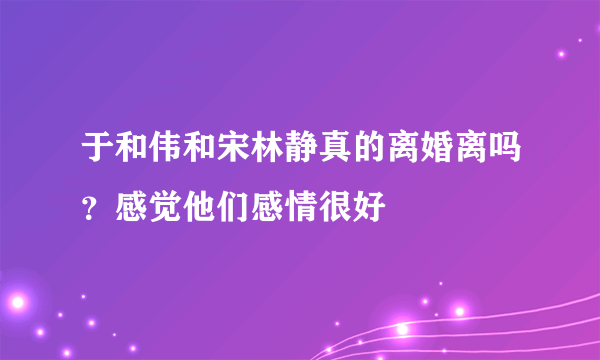 于和伟和宋林静真的离婚离吗？感觉他们感情很好