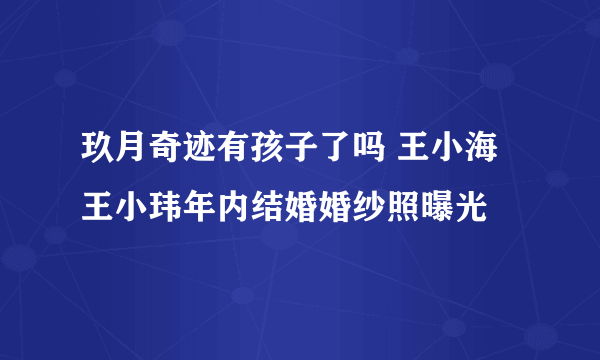 玖月奇迹有孩子了吗 王小海王小玮年内结婚婚纱照曝光