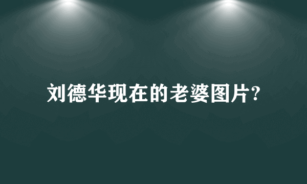 刘德华现在的老婆图片?