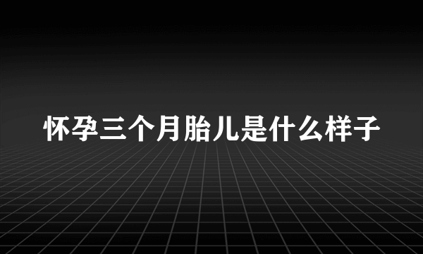 怀孕三个月胎儿是什么样子