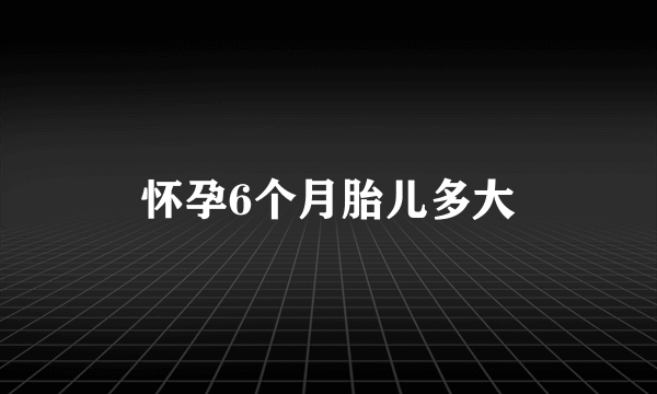 怀孕6个月胎儿多大