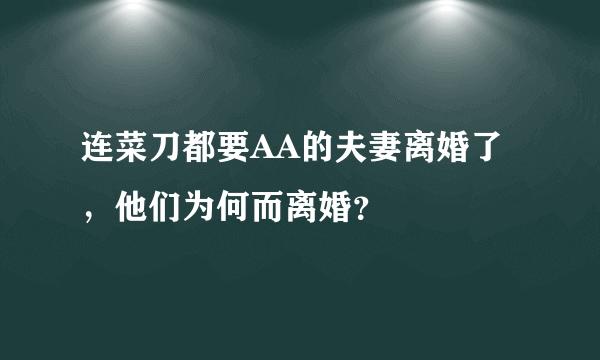 连菜刀都要AA的夫妻离婚了，他们为何而离婚？