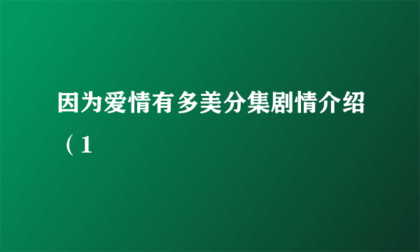 因为爱情有多美分集剧情介绍（1