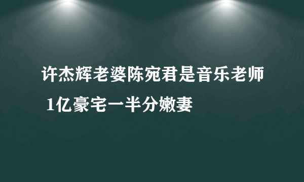 许杰辉老婆陈宛君是音乐老师 1亿豪宅一半分嫩妻