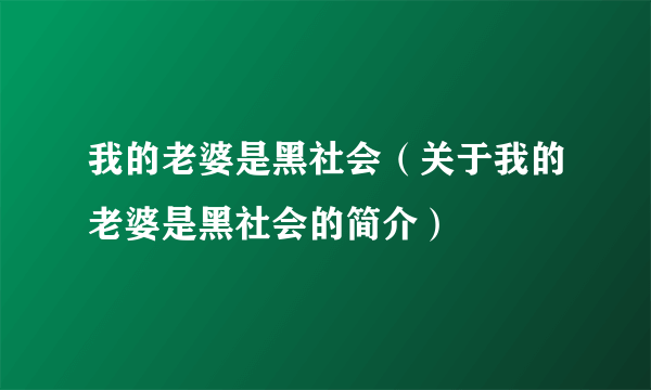 我的老婆是黑社会（关于我的老婆是黑社会的简介）