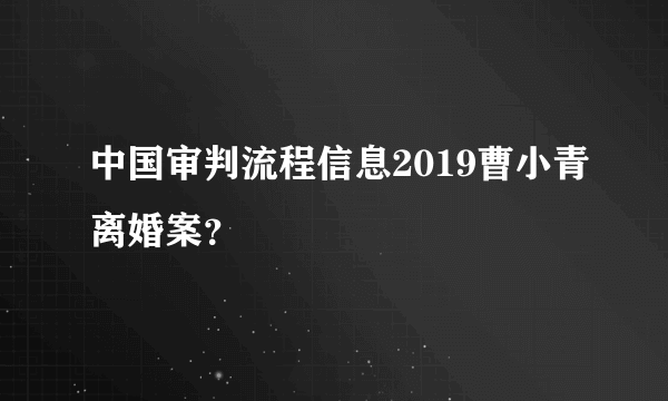 中国审判流程信息2019曹小青离婚案？