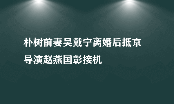 朴树前妻吴戴宁离婚后抵京 导演赵燕国彰接机