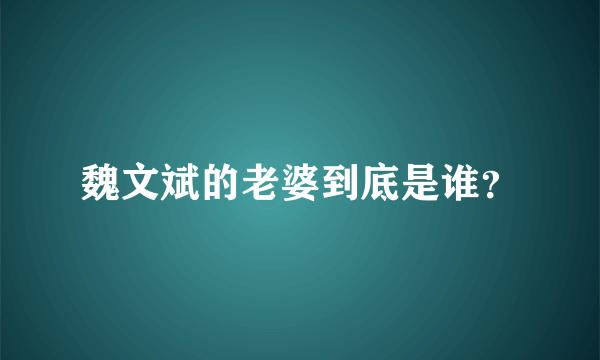 魏文斌的老婆到底是谁？