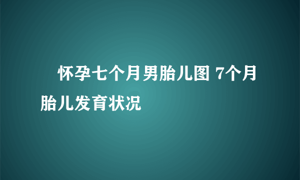 ​怀孕七个月男胎儿图 7个月胎儿发育状况