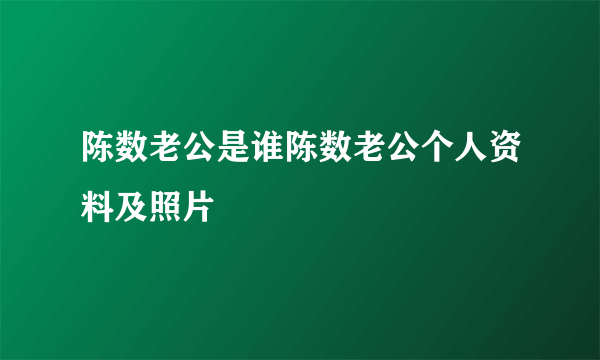 陈数老公是谁陈数老公个人资料及照片