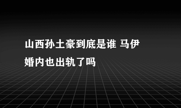 山西孙土豪到底是谁 马伊琍婚内也出轨了吗