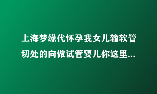 上海梦缘代怀孕我女儿输软管切处的向做试管婴儿你这里可以做吗