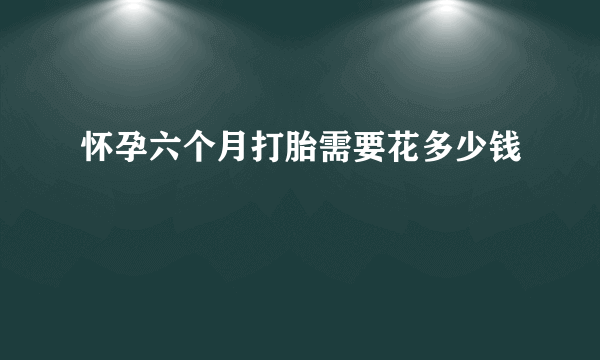 怀孕六个月打胎需要花多少钱