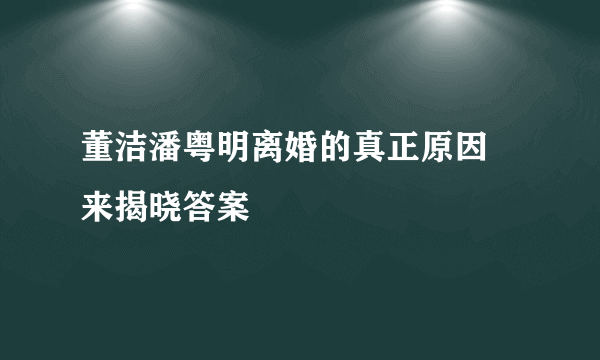 董洁潘粤明离婚的真正原因 来揭晓答案