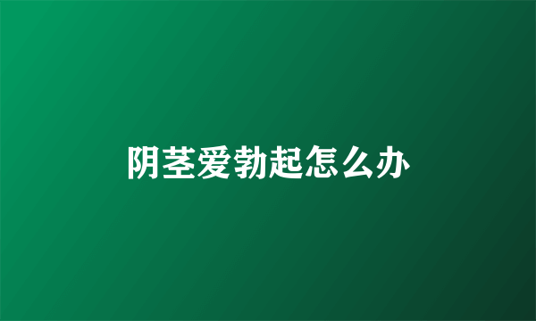 阴茎爱勃起怎么办