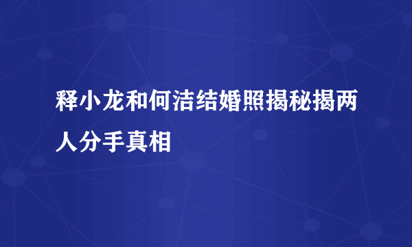 释小龙和何洁结婚照揭秘揭两人分手真相