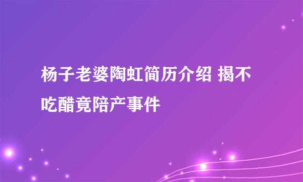 杨子老婆陶虹简历介绍 揭不吃醋竟陪产事件