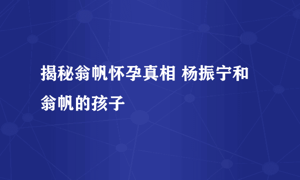 揭秘翁帆怀孕真相 杨振宁和翁帆的孩子 