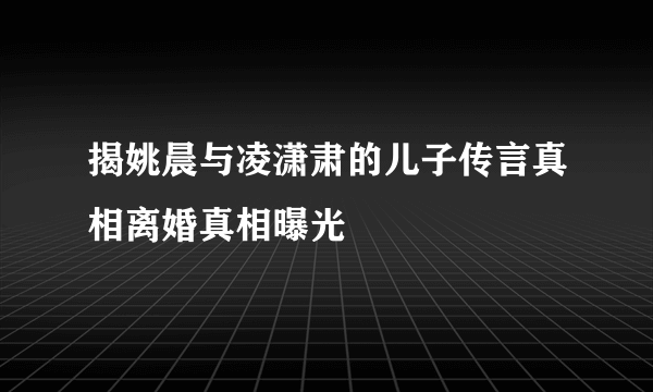 揭姚晨与凌潇肃的儿子传言真相离婚真相曝光