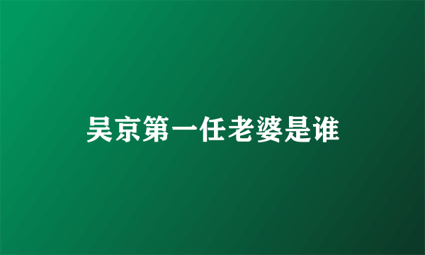 吴京第一任老婆是谁